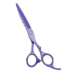 Ciseaux de coiffure professionnels en acier inoxydable pour droitiers, 5,5 et 6,0 pouces, ciseaux de barbier, outil de coupe et de coiffage pour salon - Product Image 1