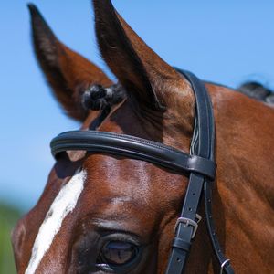 Nueva Llegada 2026: Brida de Cuero para Caballo con Riendas de Alta Calidad, Productos Ecuestres a Precio Directo de Fábrica - Product Image 4