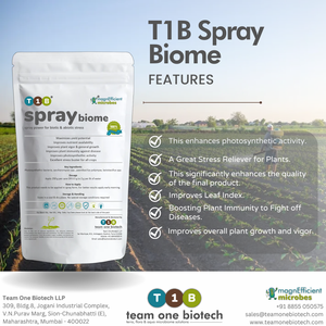ไบโอมสเปรย์ T1B: ตัวใช้ประโยชน์ทางชีวภาพขั้นสูงพร้อม Bacillus subtilis สำหรับการเจริญเติบโตของพืช - Product Image 2