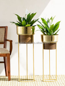 Shiny <b>Gold</b> Iron <b>Planter</b> for home garden and fully customizable. - Product Image 6