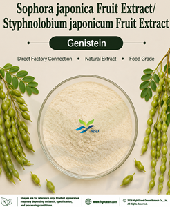 Extrait de fruit de Sophora japonica pur et naturel, génistéine 98%, fourni directement par l'usine HGO - Product Image 1