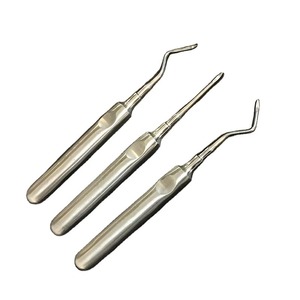 Juego de 3 Elevadores Dentales de Acero Inoxidable con Mango Hexagonal, Curvos, para Extracción de Raíces, Aprobados por la CE - Product Image 1