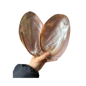 Assiette en nacre naturelle du Vietnam, fabriquée à partir de coquillages, pour la présentation de bijoux, la décoration de la maison, les événements et les cadeaux - Product Image 2