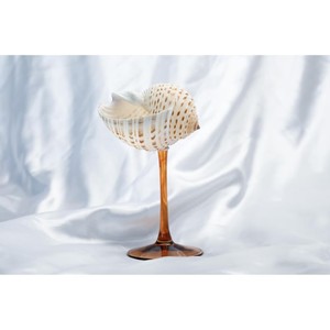 El vidrio de concha marina más vendido, perfecto para restaurantes, agrega un toque refinado a cualquier bar o mesa de comedor. - Product Image 1