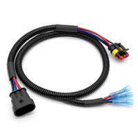 Harness Kabel Lampu Otomotif 18 20 22 24 26 AWG 2 3 4 5 6 Pin Y Split AMP Superseal Tahan Air dengan Selang Bergelombang