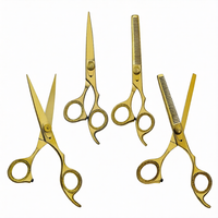 Ensemble professionnel de 2 ciseaux de coiffure pour barbier, 6,5 pouces, droits, tranchants, en acier inoxydable doré, kit de coiffure pour salon