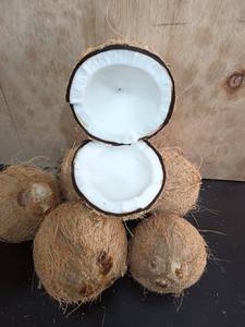 มะพร้าวอบแห้งแบบแกะเปลือก จำหน่ายจำนวนมาก (WA +84914319488) - Product Image 1
