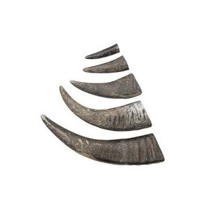 Cuerno de Búfalo y Punta de Cuerno de Buey de Buena Calidad, Personalizados para Venta al por Mayor, Calidad Natural - Product Image 1