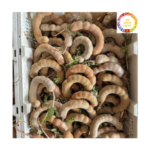 Pulpa de Tamarindo Deshuesada y Limpia, Sabor Natural para Exportación, Fabricante a Granel - Product Image 3