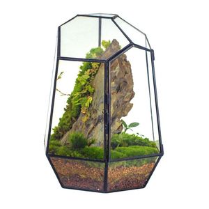 Terrarium décoratif personnalisé en métal et verre, jardinière moderne en verre pour plantes d'intérieur, succulentes, plantes aériennes et terrarium DIY - Product Image 3