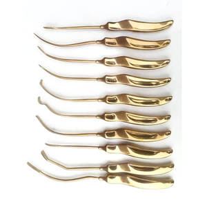Juego de 10 Piezas de Dissectores Manuales para Trasplante Capilar con Certificación ISO13485, Cuchilla Curva de Acero Inoxidable Dorado, Instrumento Quirúrgico para Hospital - Product Image 4