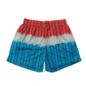 Pantalones Cortos Deportivos de Malla para Hombre, de Secado Rápido, Estampados, para Gimnasio, con Logotipo Personalizado, OEM, Venta al Por Mayor, Suministro de Fábrica, Disponibles en Stock - Product Image 2