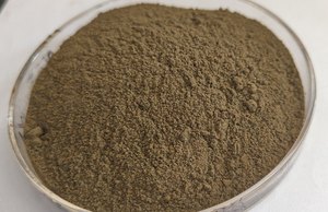 Extracto de Gymnema Sylvestre en Polvo 25 a 75 % de Ácido Gimnémico, Apoya un Nivel Saludable de Azúcar en Sangre y Ayuda a Reducir los Antojos por Azúcar - Product Image 3