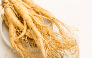 Premium Ngoc Linh Ginseng from Vietnam | High Saponin Content | OEM & Private Label Available - Product Image 3