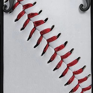 Custom Logo Baseball Bat <b>Backpack</b> with Shoe Pocket Glove Storage Fence Hook and Water Bottle Holder OEM Team Sports Bags 2026 - Product Image 4