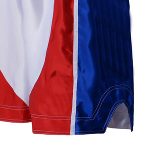 Pantalons de kick-boxing en polyester et élasthanne imprimés par sublimation pour hommes et femmes, shorts de Muay Thai personnalisés, shorts MMA pour la vente en gros, shorts thaïlandais - Product Image 6