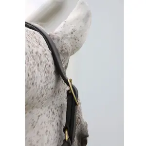 Nuevo Halter de Cuero para Caballo de Diseño Exclusivo Al Por Mayor, Popular, Lujoso, Elegante, Perfecto, Ajustable, Moderno - Product Image 5