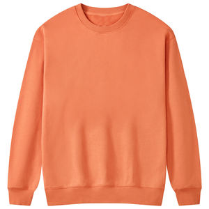 Nueva Sudadera de Cuello Redondo Color Verde Claro con Tejido Invertido 2024, el Mejor Diseño, Sudadera de Alta Calidad en Felpa de Algodón de 500 g/m² - Product Image 4