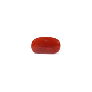 Natural Red Coral Loose Gemstone 4.67 Carat Certified Wholesale Raw - Product Image 2
