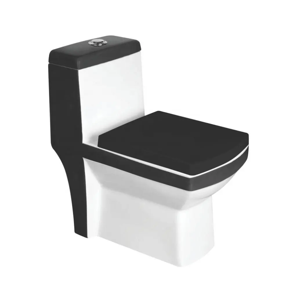 Factory Sales Ceramic BlackColor One Piece Ripone Washdown One Piece Toilet With Cyclone Flushing System Indian Products