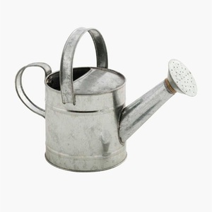 Arrosoir de jardin intérieur/extérieur avec poignée et rose en laiton, arrosoir en métal galvanisé avec motif diamanté en relief - Product Image 4