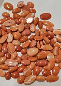 ปะการังแดงญี่ปุ่นธรรมชาติ รูปทรงวงรี คุณภาพดี สีสวย สำหรับทำเครื่องประดับ - Product Image 5