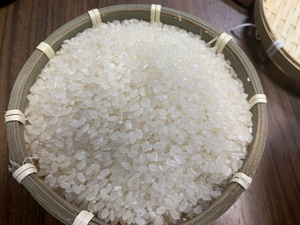 Riz blanc à grains courts séché, texture moelleuse, haute qualité pour usage en restauration, marque IIglobal, vente en gros en vrac - Product Image 4