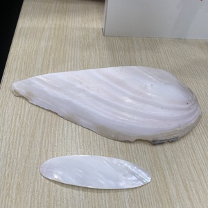 White Mother Pearl Slice <b>Fishing</b> Lure Spoon Hard <b>Floating</b> Bait Boat Polished Seashell Fish Attractor for Pike Trout Lake Ocean - Product Image 3