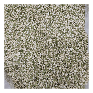 Vietnam Dried jasmine flower selected whole buds for <b>bubble</b> tea <b>toppings</b> and sachet filling, low-moisture floral material - Product Image 4