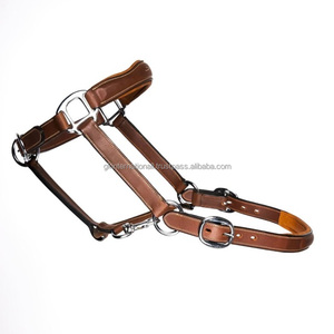 Cabestro de caballo de cuero con costuras duraderas y relleno suave de vaca Premium recién llegado con Halter de hardware variante de níquel o latón - Product Image 1