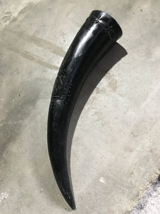 Authentic Large Durable Handcrafted Viking Tankard Polished Animal Style Drinking Horn for Gifting and Collection - Product Image 5