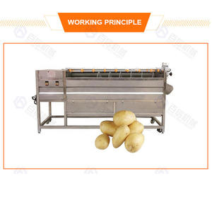 Ligne de production continue automatique et efficace de lavage et d'épluchage de rouleau de manioc, d'igname et de taro - Product Image 3