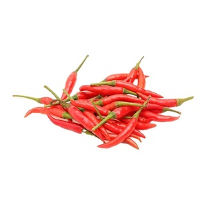 FAVORITE SPICE FRESH RED CHILLI VIETNAM Premium Grade Spicy Raw Certificado HACCP - Product Image 1