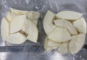 ชิ้นเนื้อขนุนแช่แข็งคุณภาพสูงสำหรับการผลิตแป้งปราศจากกลูเตน |   ส่วนผสมอาหารอเนกประสงค์ที่นำเข้าจากเวียดนาม - Product Image 5