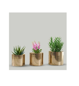 Modern Brass Planter Pot Circular Design Minimalist Indoor Planters for <b>Desk</b> Decor Smooth Plated Finish Set of 2 - Product Image 2