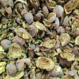 CareQue Baheda Chilka, Cáscara de Bibhitaki Cruda, Seca al Sol, Natural |   Terminalia Bellirica Entera |   Baheda Sabut |   Beleric Myrobalan - Product Image 3