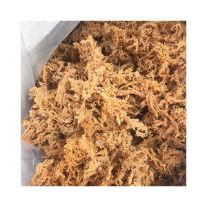 Mousse d'algues irlandaise biologique du Vietnam, séchée naturellement, pour usage alimentaire et industriel, emballée sous vide - Product Image 5