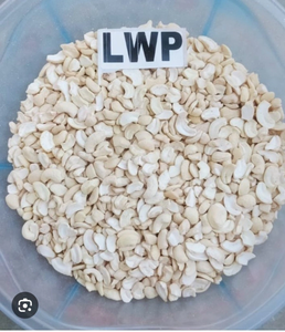 Noix de cajou brutes séchées, cajous naturels en vrac pour la transformation alimentaire W320 W240 LWP LP - Product Image 2