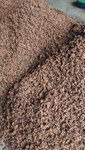 Anís estrellado seco en piezas enteras, especias naturales crudas para cocinar y sazonar - Product Image 6