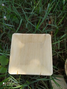 [DISPONIBLE] |   Assiettes jetables compostables biodégradables en feuilles de palmier de 10 pouces pour pique-niques en plein air, camping, fêtes, export Vietnam - Product Image 5