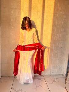 White Indian Pakistani Set Embroidered Long Sleeve Top Net Dupatta Velvet Border Festive Outfit - Product Image 1