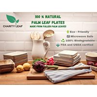 Kit de fournitures de fête jetables en bois rustique biodégradable, compatible micro-ondes, 9 x 6 pouces, avec 25 assiettes et un plateau, Charity Leaf