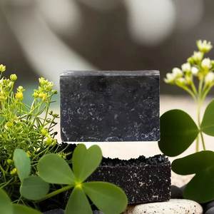 Savon Nettoyant Visage et Corps au Charbon Actif et à l'Argile, Marque Privée OEM, Vente en Gros, Détoxification Profonde, Contrôle du Sébum et Purification des Pores - Product Image 4