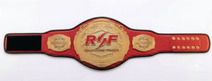 Ceinture de lutte en cuir personnalisée pour entraînement de MMA, boxe et grappling, taille haute, durable, imperméable, OEM pour les sports aux États-Unis et au Canada - Product Image 1
