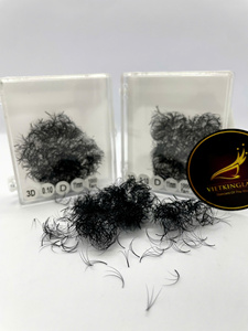 Extensions de cils 3D 6D volume faites à la main, noir mat, PBT coréen, courbure D, 7-25mm, base fine et pointue, marque privée, vente en gros - Product Image 1