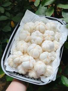 เนื้อมังคุดแช่แข็ง IQF มาตรฐานส่งออกจากโรงงานในเวียดนาม - Product Image 5