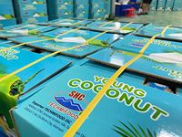 Vietnamese tropische verfrissingsdrank, geëxporteerde verse jonge kokosvlees-sap, 60 dagen houdbaarheid, directe levering, TECHMIFOOD Ben Tre
