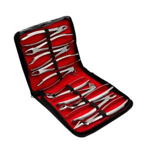 Ensemble de 10 pinces d'extraction dentaire en acier inoxydable de qualité allemande, kit réutilisable, meilleur fournisseur en gros - Product Image 1