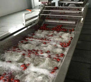 Lavadora automática de hojas de verduras y naranjas Lavadora industrial de frutas - Product Image 5