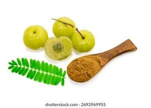 100% pure organic amla Premium grade Amla Powder High Quality Gooseberry Powder Natural Health Food Clean <b>Label</b> Production - Product Image 2